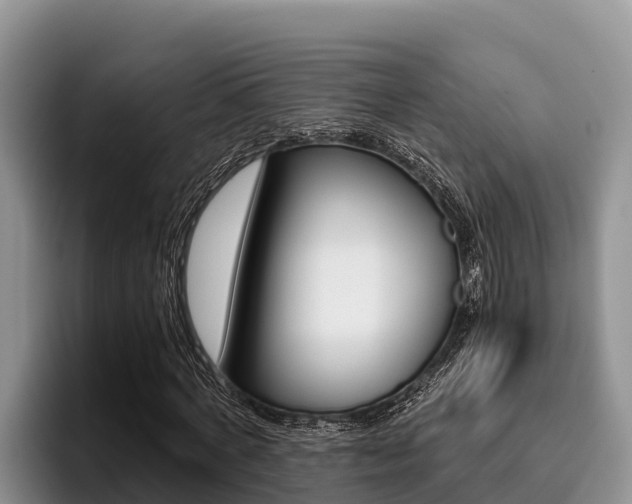 X0000096220772200801181029