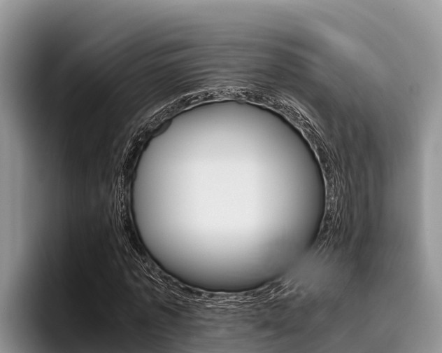 X0000096220773200801181029