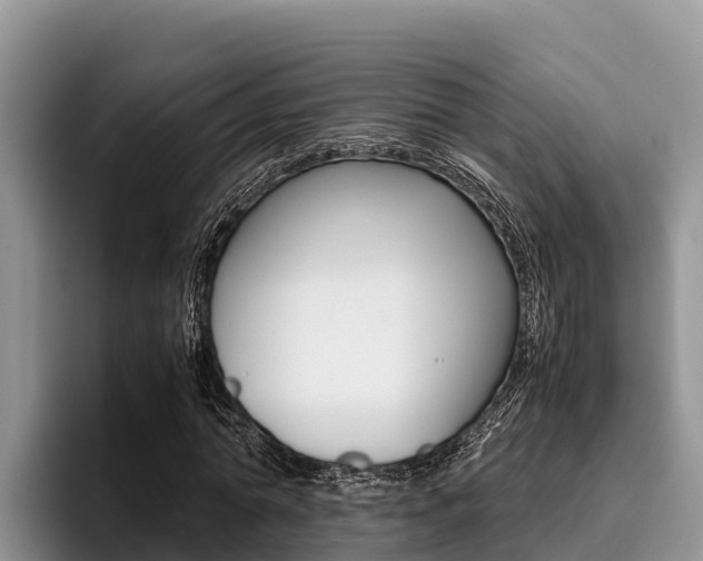 X0000096220774200801181029