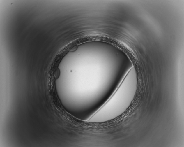 X0000096220775200801181028