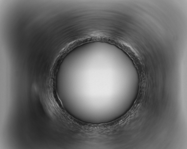 X0000096220776200801181028