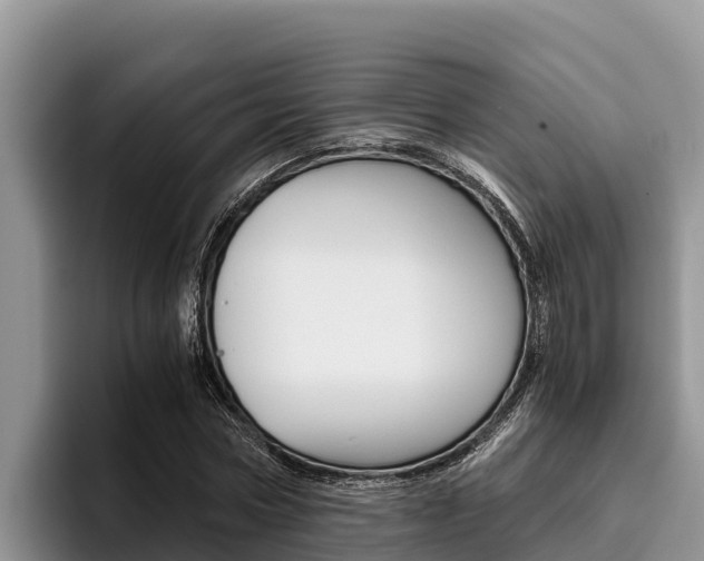 X0000096220778200801181028