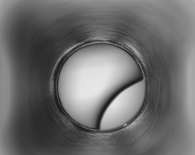 X0000096220779200801181028