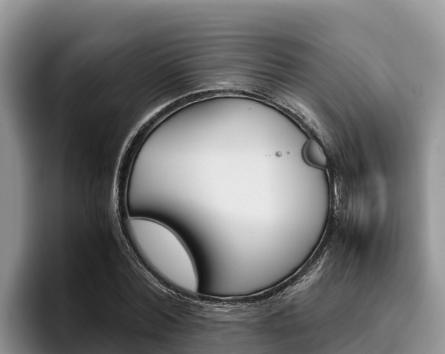 X0000096220780200801181028