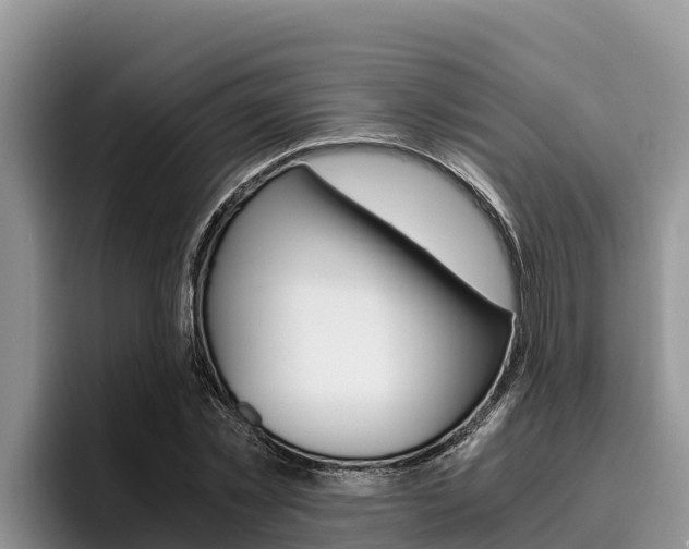 X0000096220781200801181028