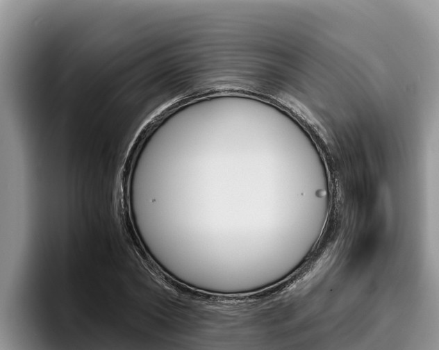 X0000096220782200801181028