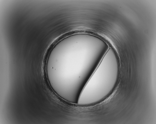 X0000096220783200801181028