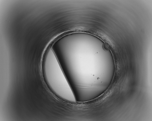 X0000096220784200801181028