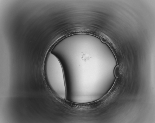X0000096220786200801181028