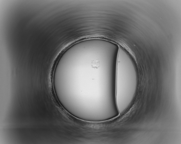 X0000096220789200801181028