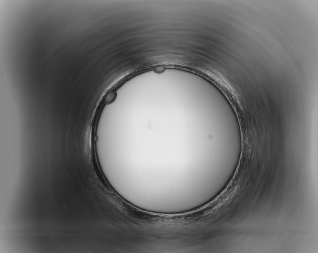 X0000096220790200801181028