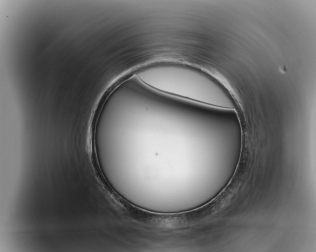 X0000096220791200801181028