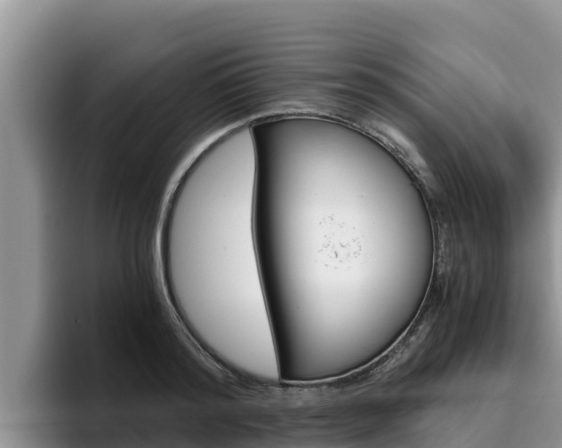 X0000096220796200801181028