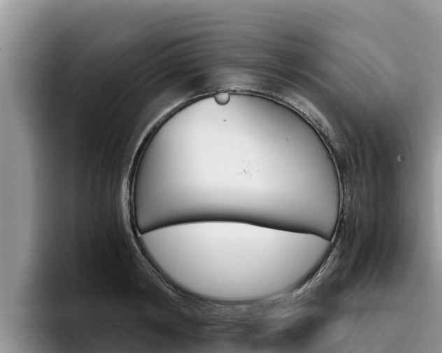 X0000096220798200801181028