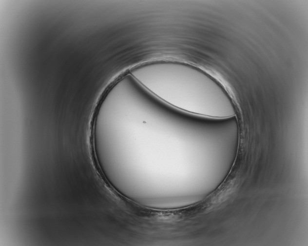 X0000096220799200801181028
