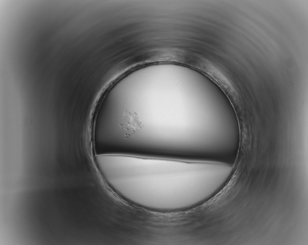 X0000096220800200801181028
