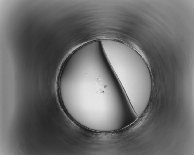 X0000096220803200801181028