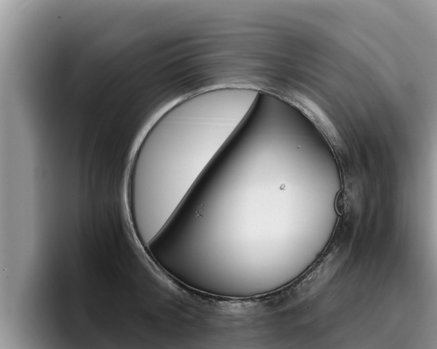 X0000096220804200801181028