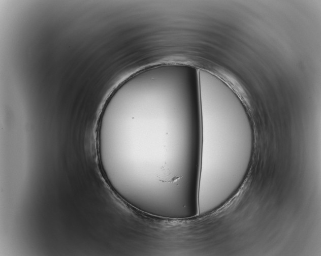 X0000096220808200801181028