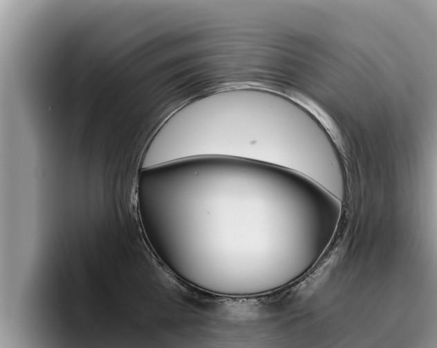 X0000096220809200801181028