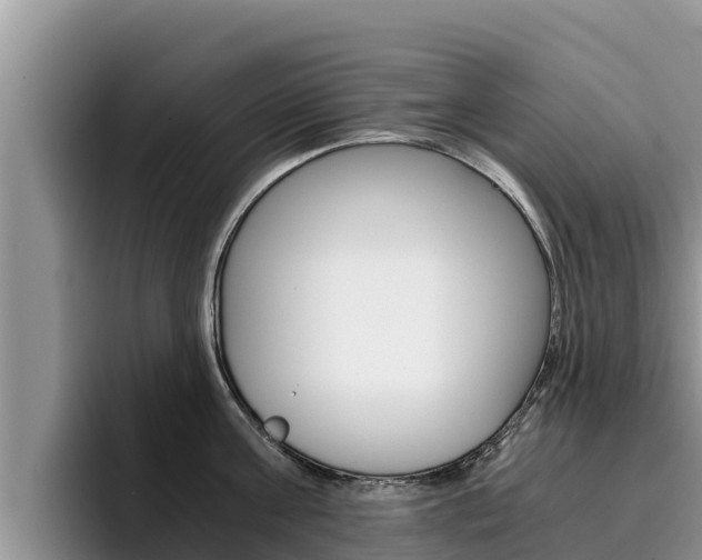 X0000096220811200801181028