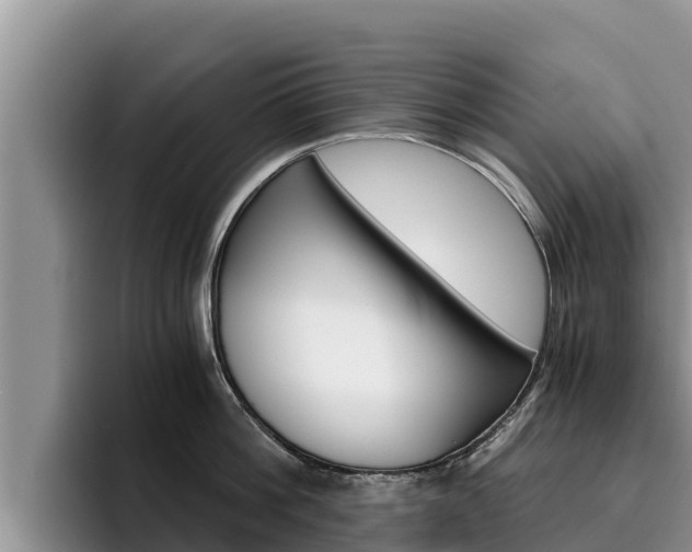 X0000096220812200801181028