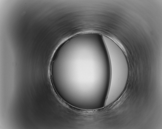 X0000096220813200801181028