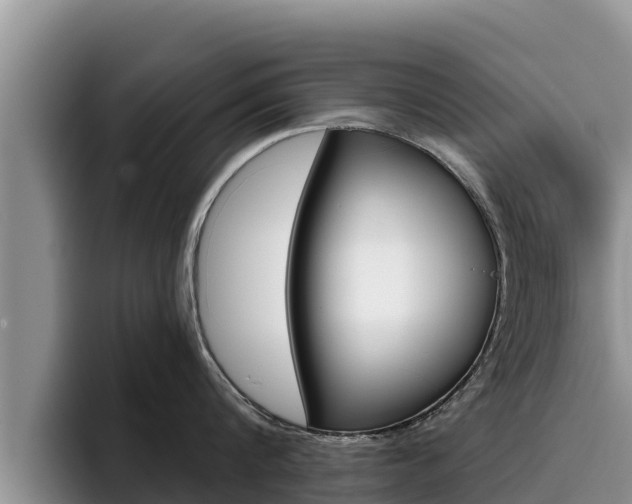 X0000096220816200801181028