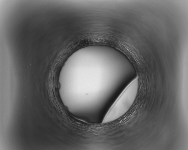 X0000096220817200801181027