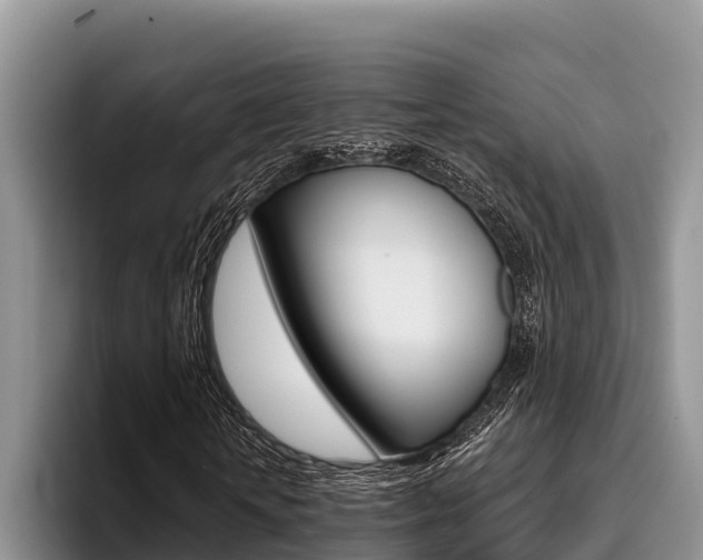 X0000096220818200801181027