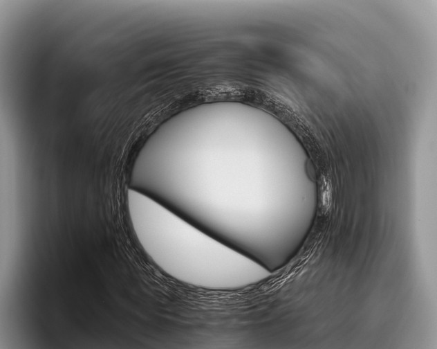 X0000096220819200801181027