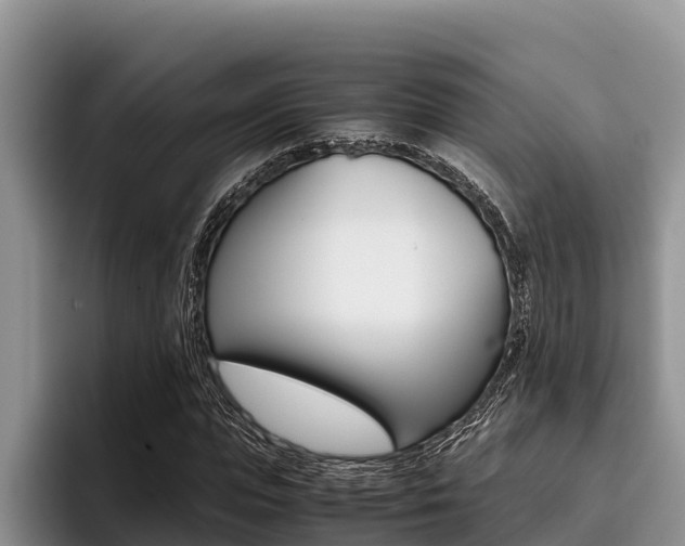 X0000096220823200801181027