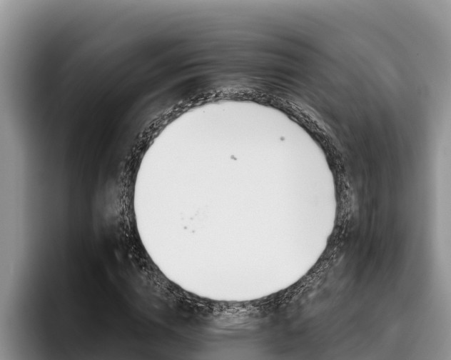 X0000096220824200801181027