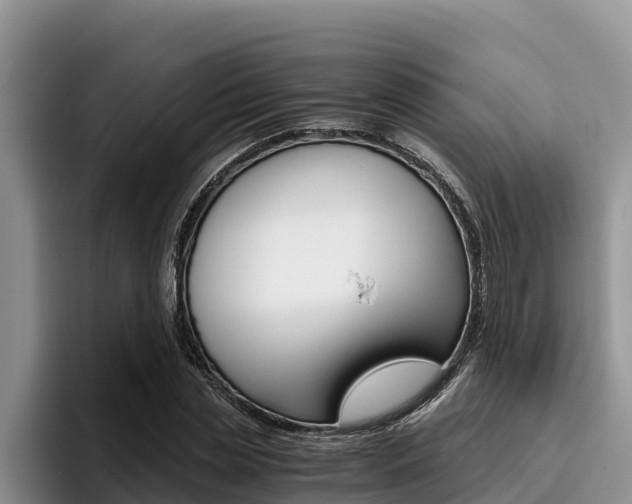 X0000096220829200801181027