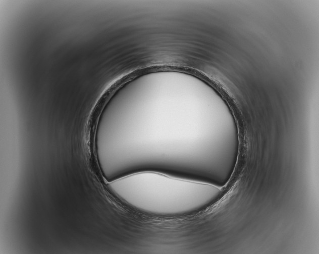 X0000096220830200801181028