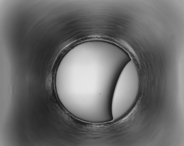 X0000096220831200801181028
