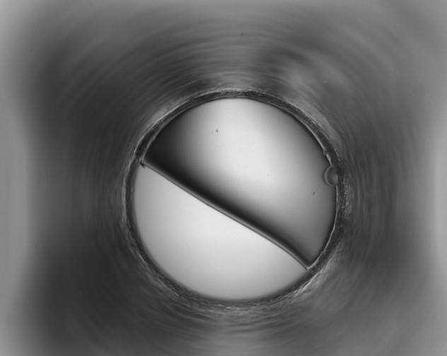 X0000096220834200801181028