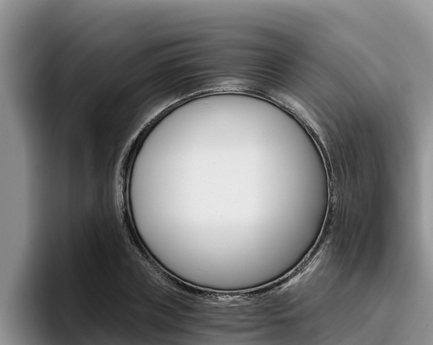 X0000096220835200801181028