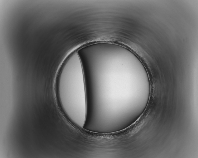 X0000096220838200801181028