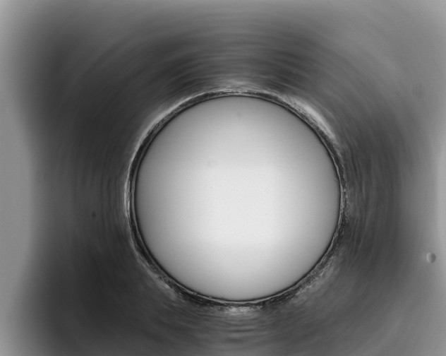 X0000096220839200801181028