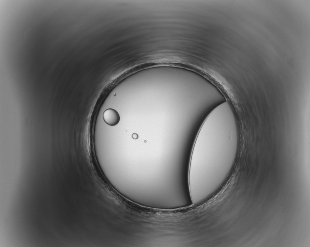X0000096220840200801181028