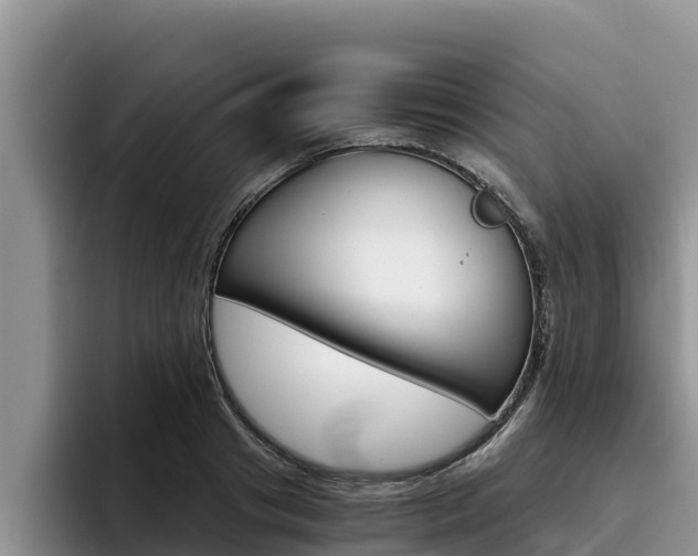 X0000096220841200801181028
