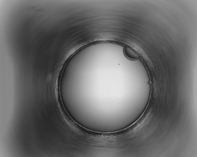 X0000096220842200801181028