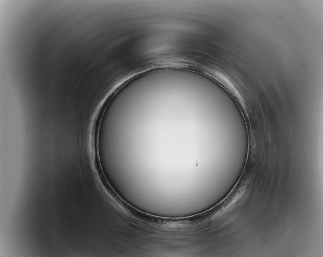 X0000096220843200801181028