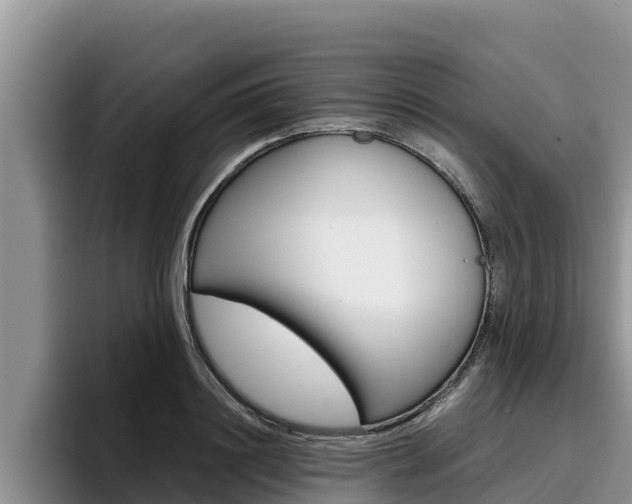 X0000096220844200801181028