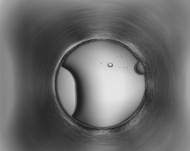 X0000096220846200801181028