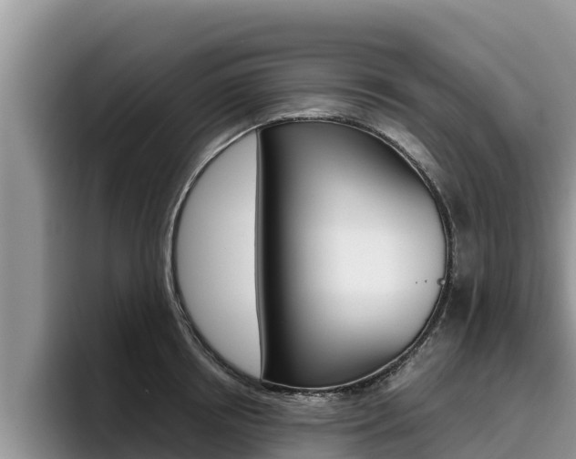 X0000096220850200801181028
