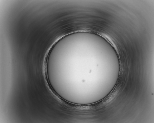 X0000096220851200801181028