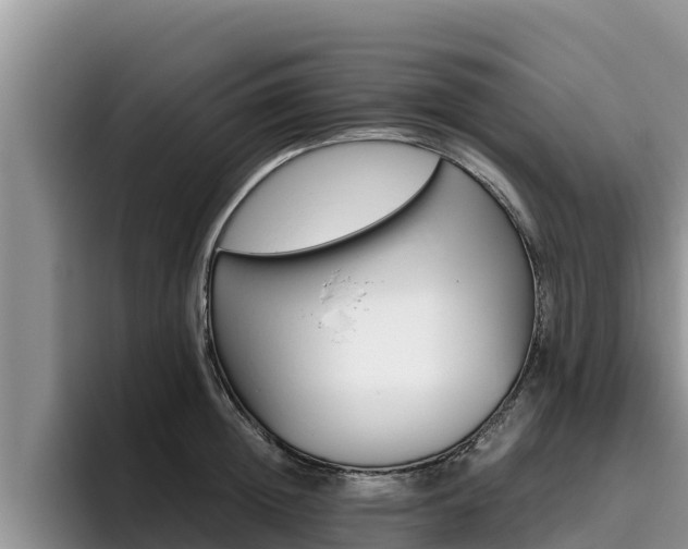 X0000096220852200801181028