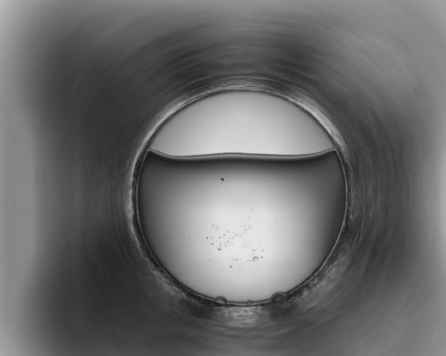 X0000096220853200801181028